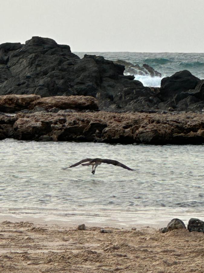 B&B Mi Ma Bo, Sal Rei, Boa Vista, Cape Verde, Free Wi-Fi Eksteriør billede